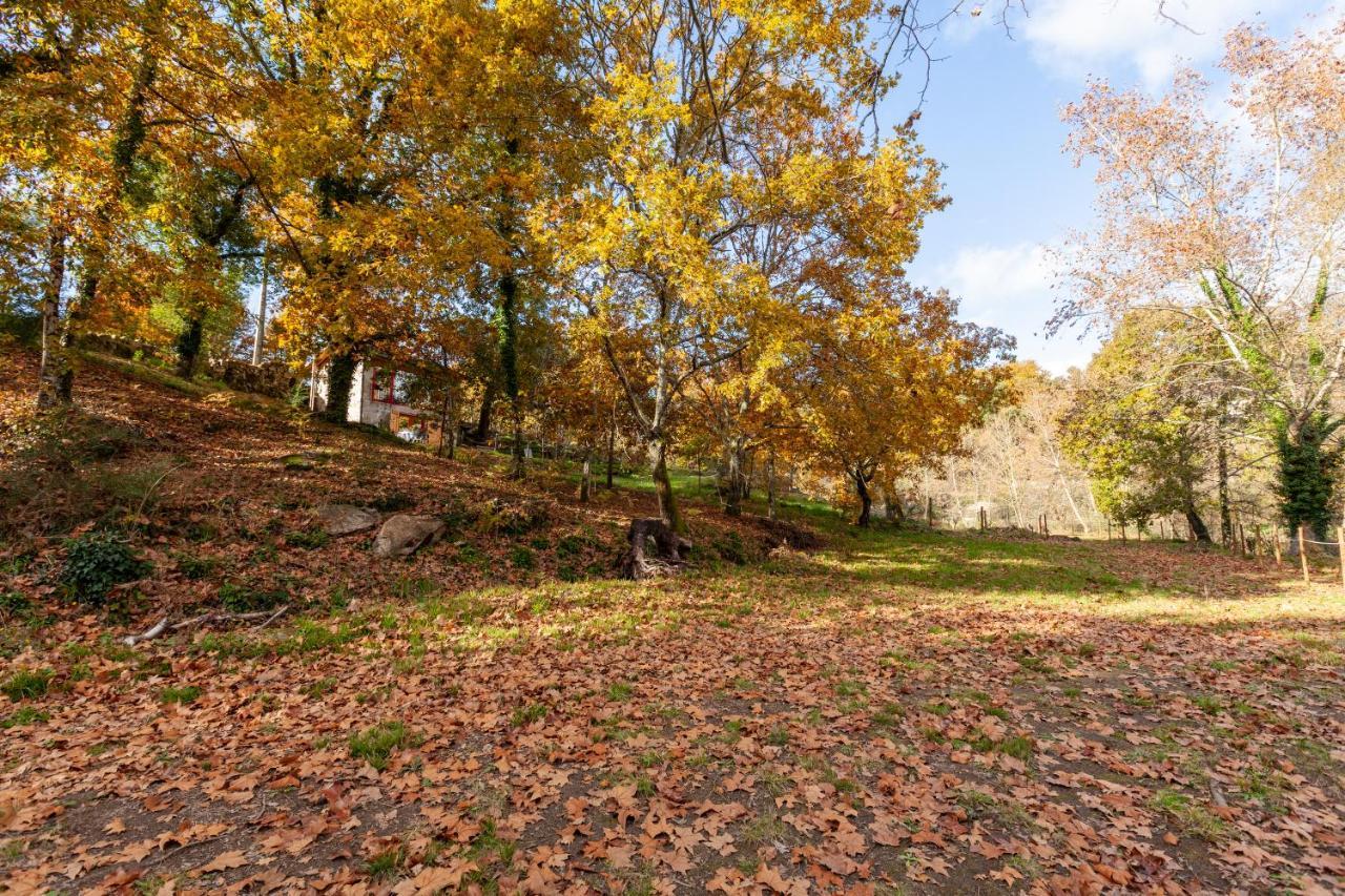 Refugio Das Poldras Mondim de Basto Bagian luar foto